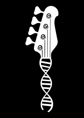 Bass Guitar Player Bassist