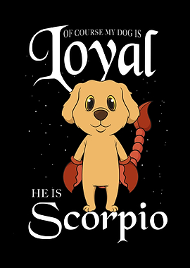 Retriever Scorpio Dog