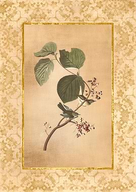 Antique Birds and Flowers