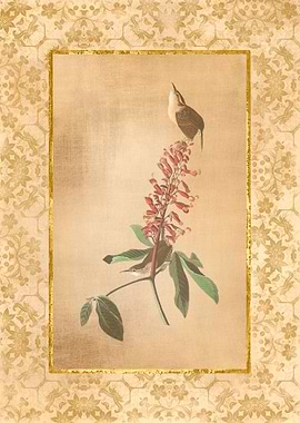 Antique Birds and Flowers