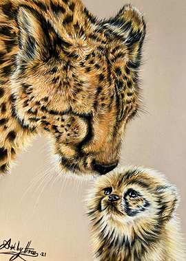 Cheetah and Cub
