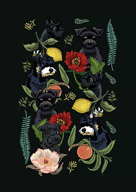 Botanical and Schnauzer