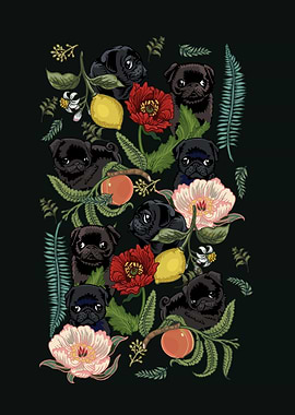 Botanical and Black Pugs