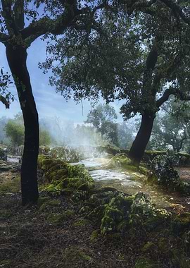 Trail Citania de Briteros