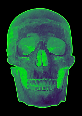 SKULL DUDE NEON
