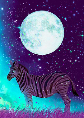 Full Moon Galaxy Zebra
