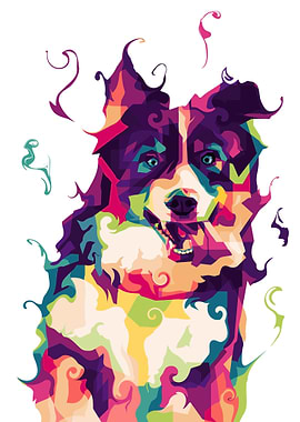 Bernese Mountain Dog