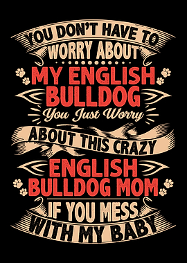 DONT MESS WITH ENGLISH