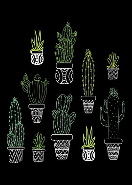 Cactus Species