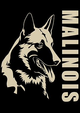 Malinois
