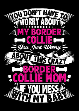 DONT MESS BORDER COLLIE