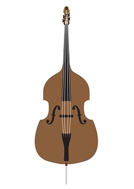 Cartoon Style Double Bass