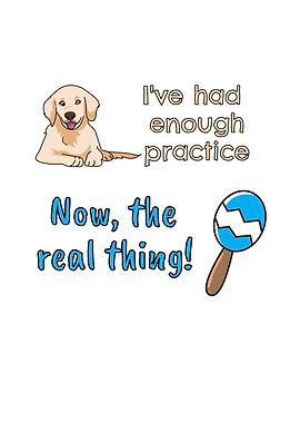 Enough Practice Dog Baby