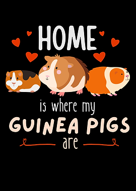 Home Guinea Pigs Pets Fun