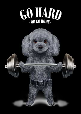 Poodle Dog Weightlifting
