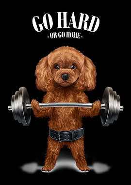 Poodle Dog Weightlifting