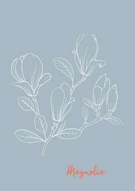 Magnolia Flower