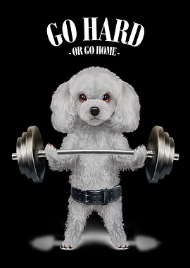 Poodle Dog Weightlifting