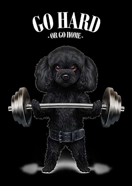 Poodle Dog Weightlifting