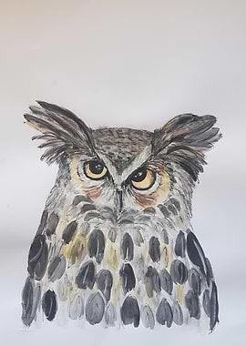 Watercolor Owl