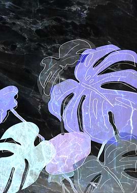 Pot plant on Granite No1