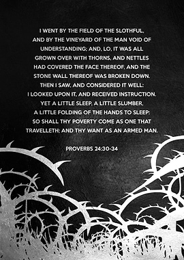Proverbs 24 30 34