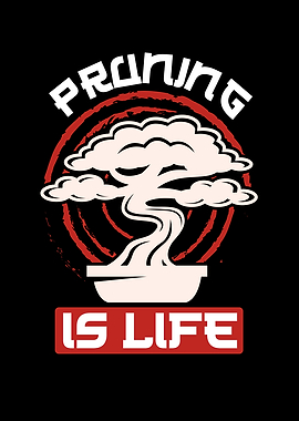 Pruning Is Life Bonsai