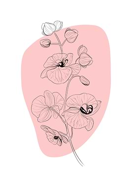 Abstract Flower Orchid