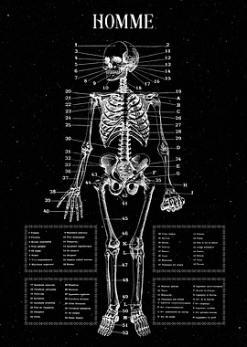 medicine anatomy nurse