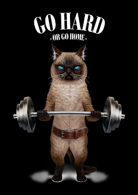 Siamese Cat Weightlifting