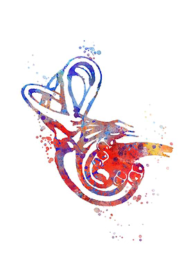 Cochlea of Inner ear