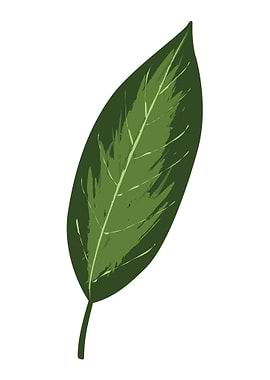 Leaf