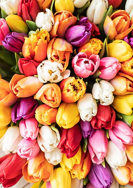 Flower Leaves Bouquet 20