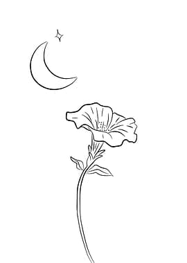Moonflower