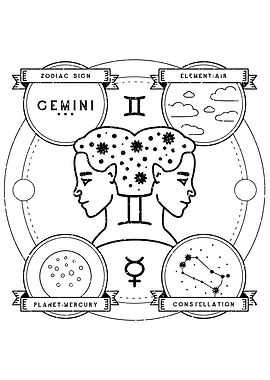 A Zodiac Sign Test Gemini