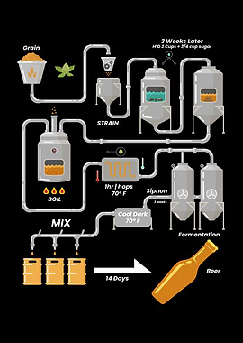 Beer Brewing