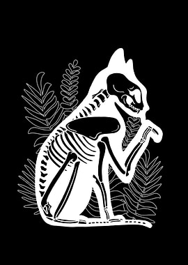 X Ray Cat Skeleton