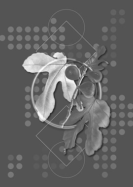 Gray Geometric Fig Fruit
