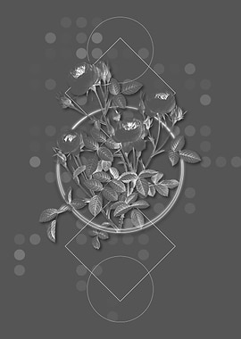 Gray Geometric Rose Flower