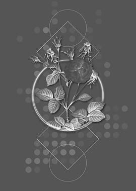 Gray Vintage Rose Flowers