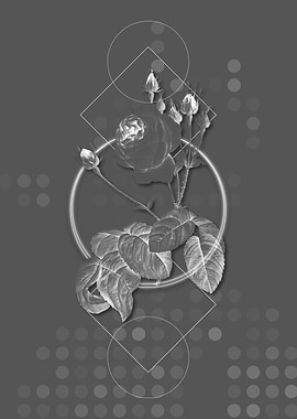 Gray Geometric Rose Flower