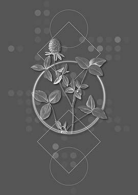 Gray Vintage Rose Flower