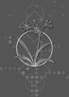 Gray Geometric Amaryllis