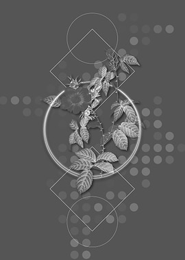 Gray Geometric Rose Flower