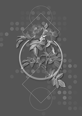 Gray Geometric Rose Flower