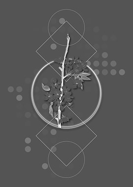 Moody Geometric Pear Fruit