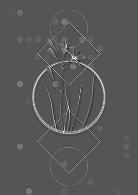 Gray Geometric Amaryllis