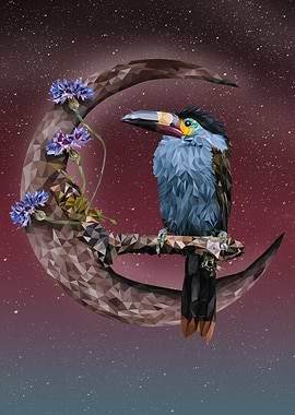 Platebilledmountain toucan