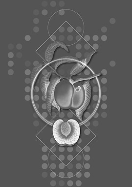 Gray Geometric Peach Fruit