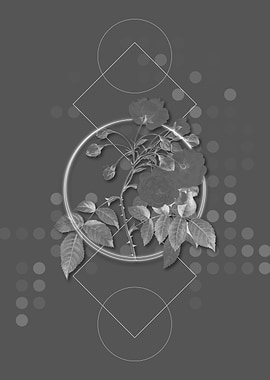 Gray Geometric Rose Flower